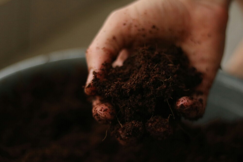 quality soil