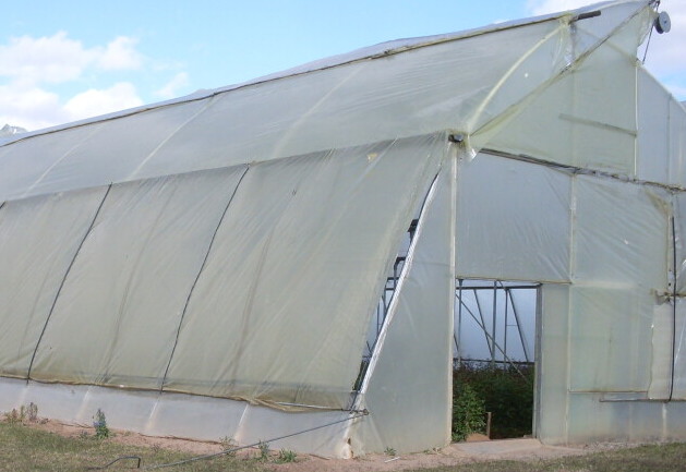 small greenhouse