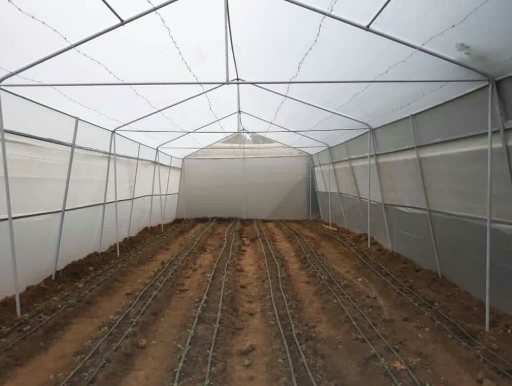 drip irrigation