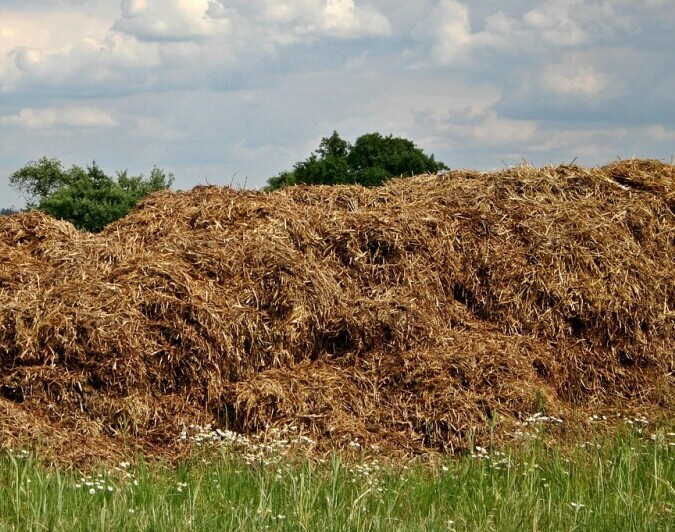manure heap