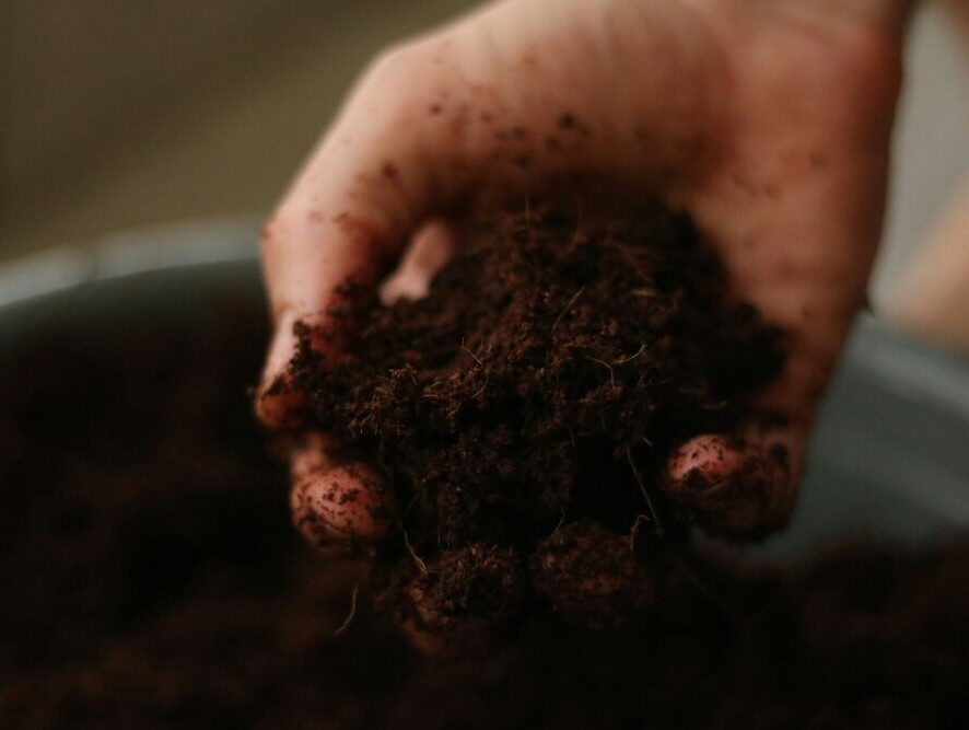 good soil