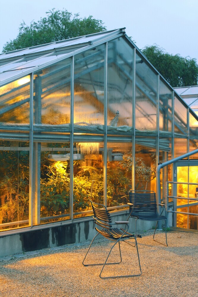 greenhouse with lights