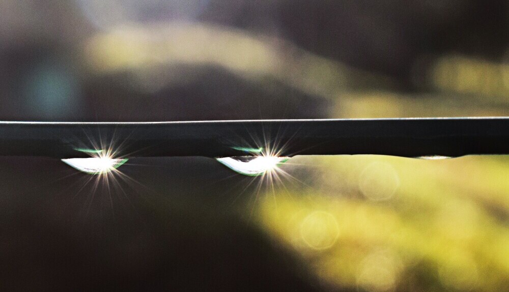drip irrigation