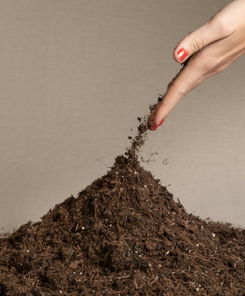 rich soil